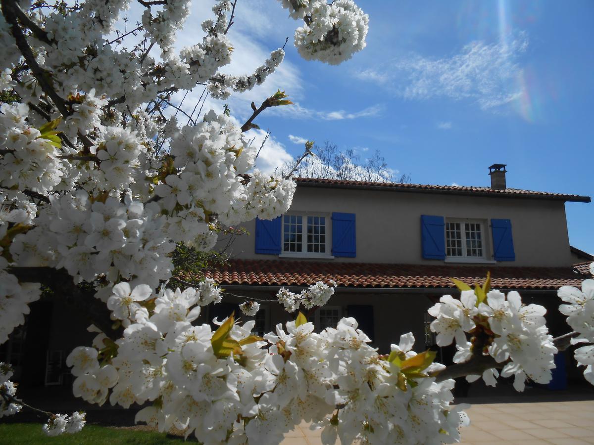 Le Relais Du Grand Logis Bed & Breakfast Civrieux ภายนอก รูปภาพ